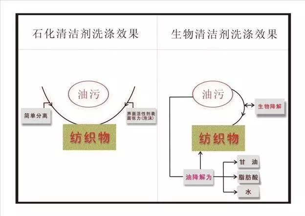 友肌多功能浓缩洗涤粉